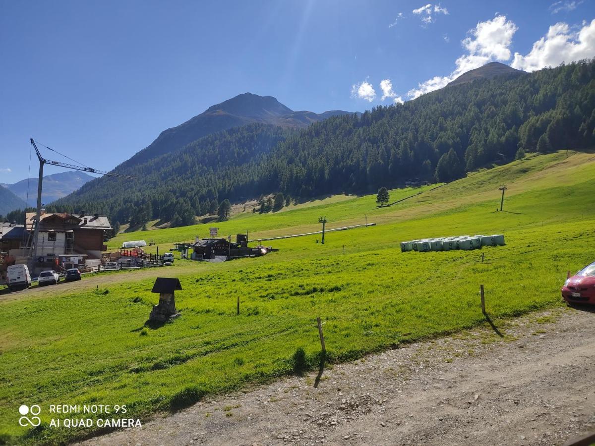 Fior D'Alpe Apartment Livigno Bagian luar foto